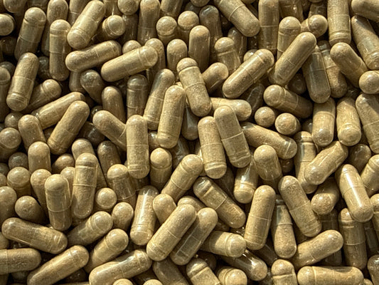 Turkesterone 50% – Bulk Capsules – BulkLab Nutrition